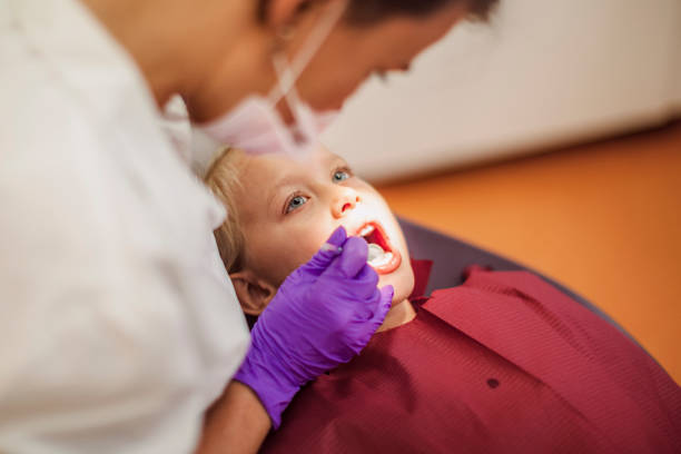 Best Emergency Dental Services for Seniors in Bolivar, WV